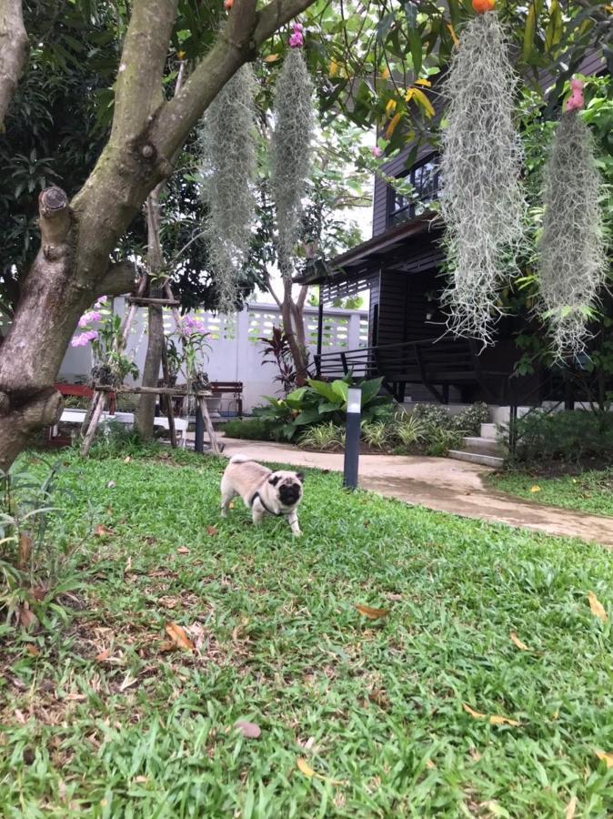 Baansuanklaiklungbangkrachao บ้านสวนใกล้กรุงบางกะเจ้า Phra Pradaeng المظهر الخارجي الصورة